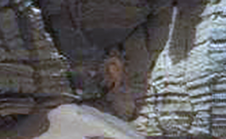 'Critter' in Sol 710 (click for larger image)