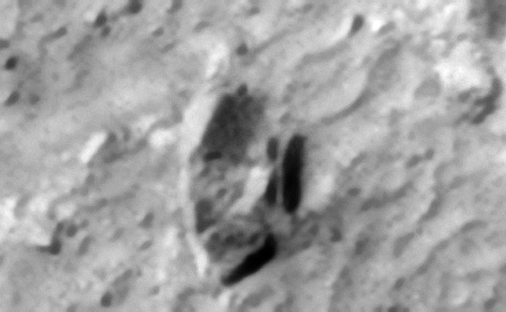 Click for larger image at 1:1 scale