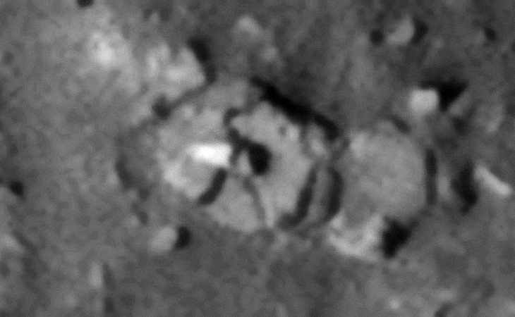 Click for larger image at 1:1 scale