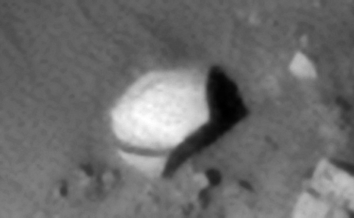 Click for larger image at 1:1 scale