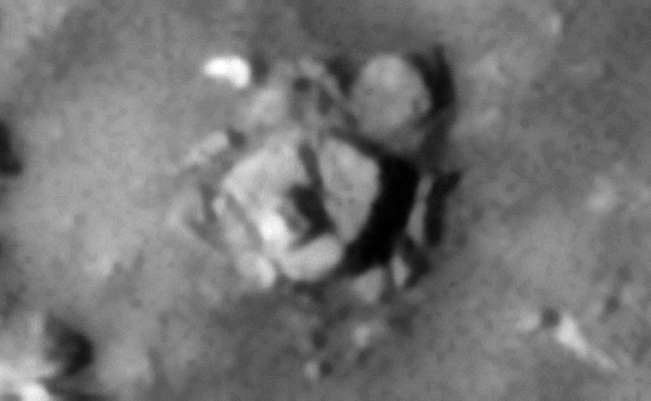 Click for larger image at 1:1 scale