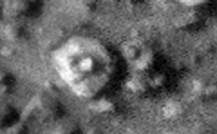 Click for larger image at 1:1 scale