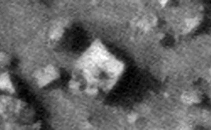 Click for larger image at 1:1 scale