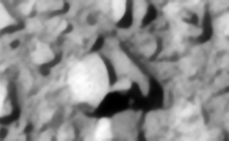 Click for larger image at 1:1 scale