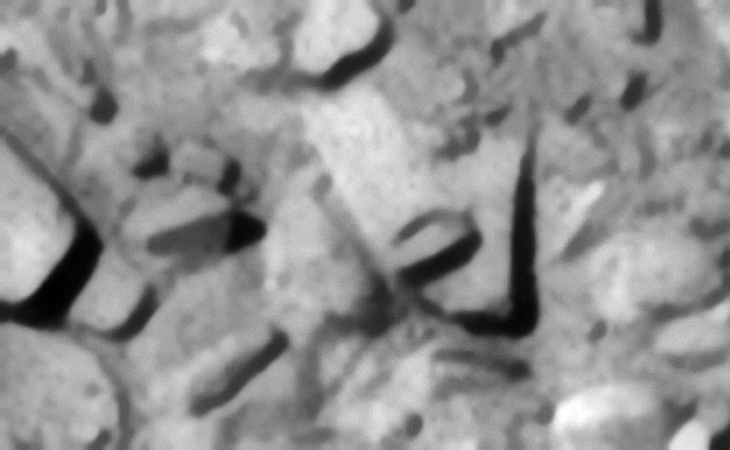 Click for larger image at 1:1 scale