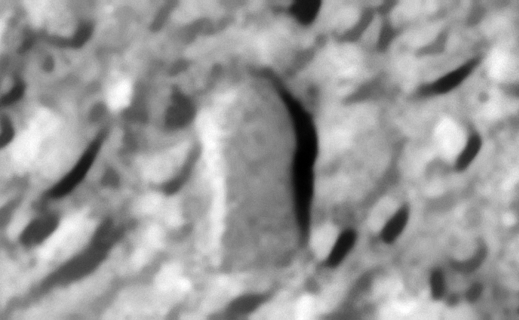 Click for larger image at 1:1 scale