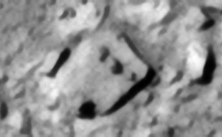 Click for larger image at 1:1 scale