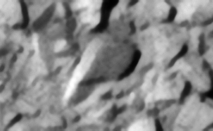 Click for larger image at 1:1 scale