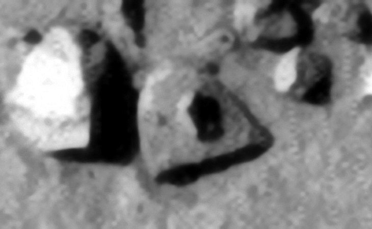 Click for larger image at 1:1 scale