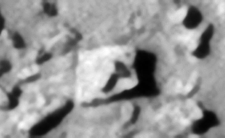 Click for larger image at 1:1 scale