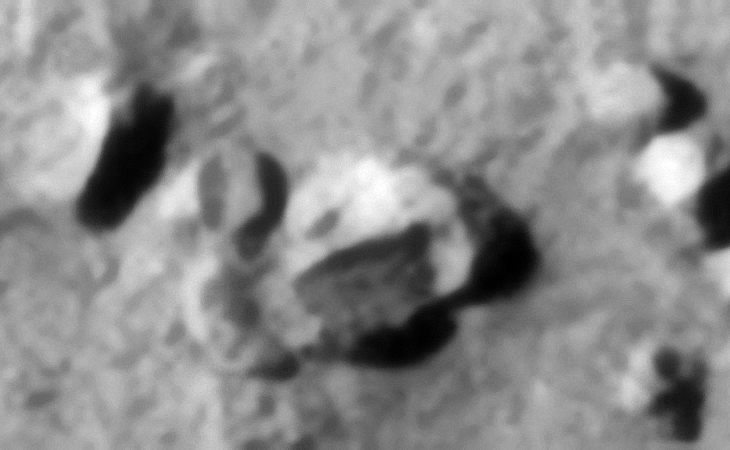 Click for larger image at 1:1 scale