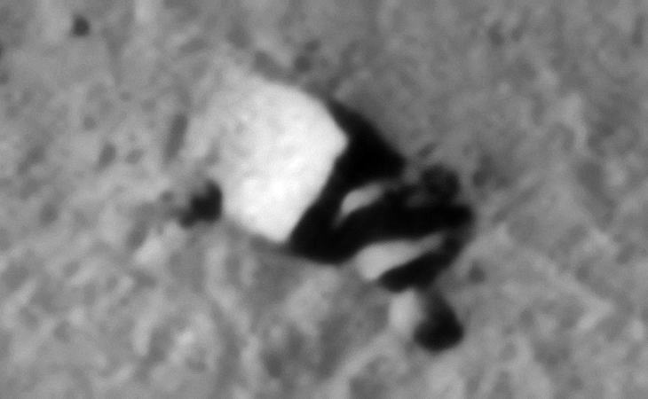 Click for larger image at 1:1 scale