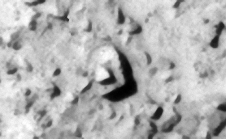 Click for larger image at 1:1 scale
