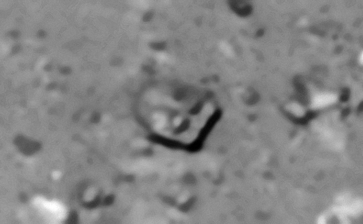 Click for larger image at 1:1 scale