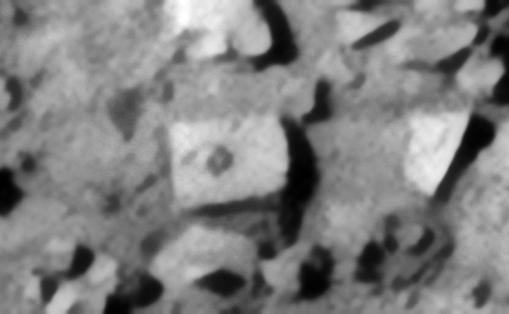 Click for larger image at 1:1 scale