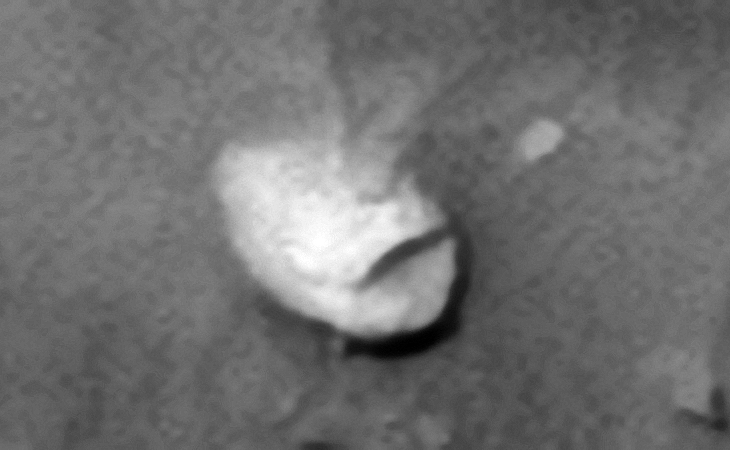 Click for larger image at 1:1 scale