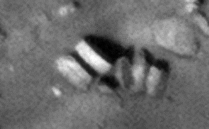 Click for larger image at 1:1 scale