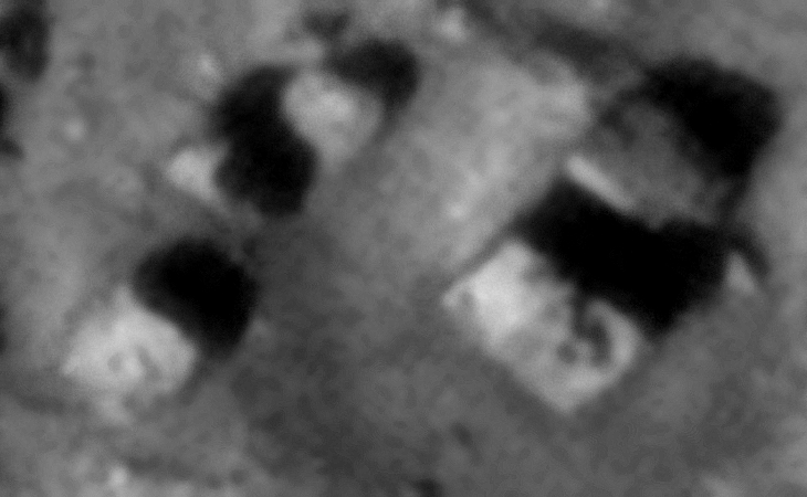 Click for larger image at 1:1 scale