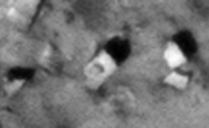 Click for larger image at 1:1 scale