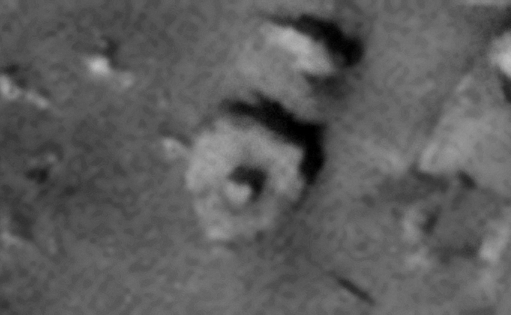 Click for larger image at 1:1 scale