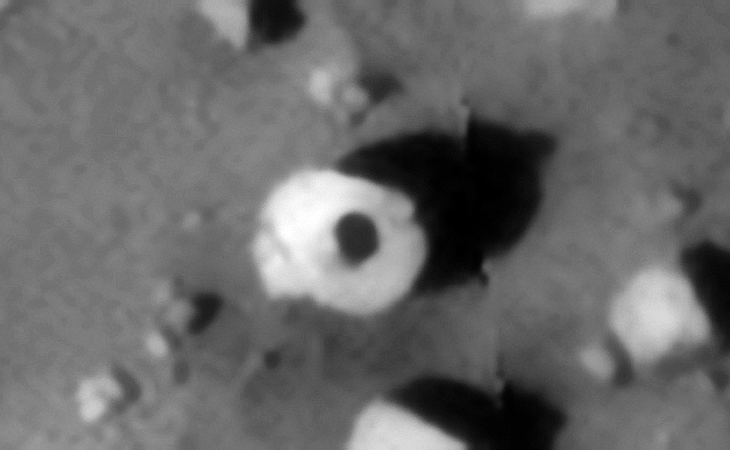 Click for larger image at 1:1 scale