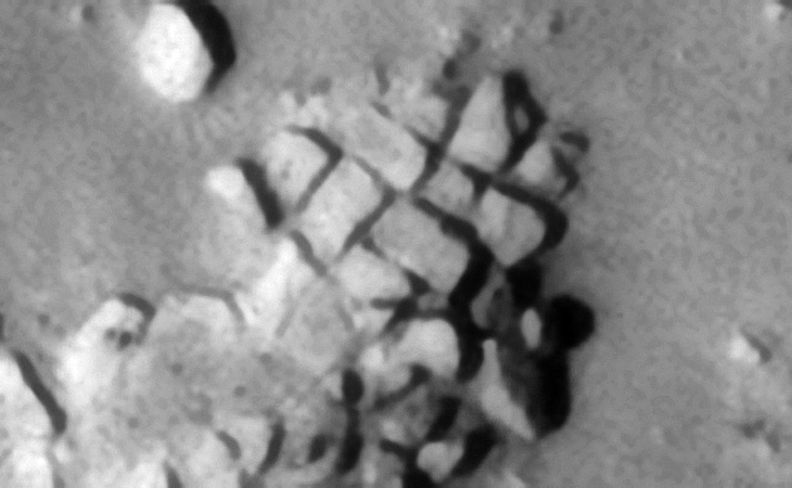 Click for larger image at 1:1 scale