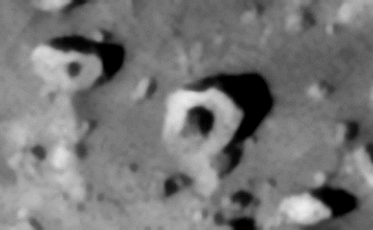 Click for larger image at 1:1 scale