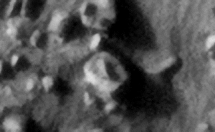 Click for larger image at 1:1 scale