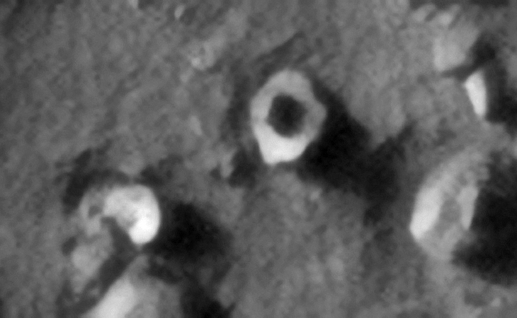 Click for larger image at 1:1 scale