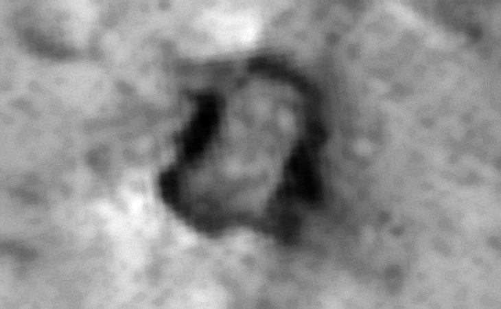 Click for larger image at 1:1 scale