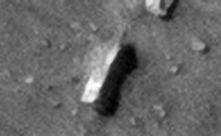 Click for larger image at 1:1 scale