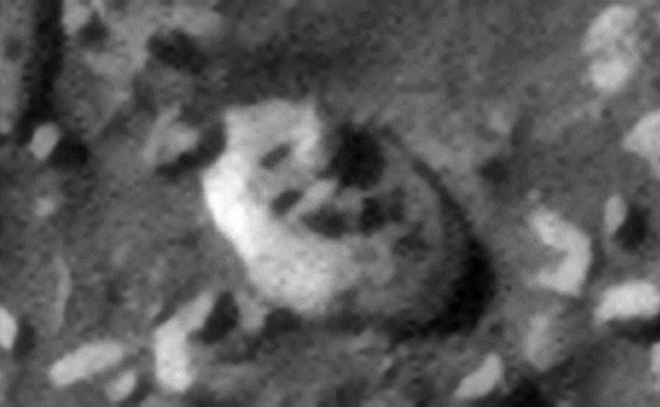 Click for larger image at 1:1 scale