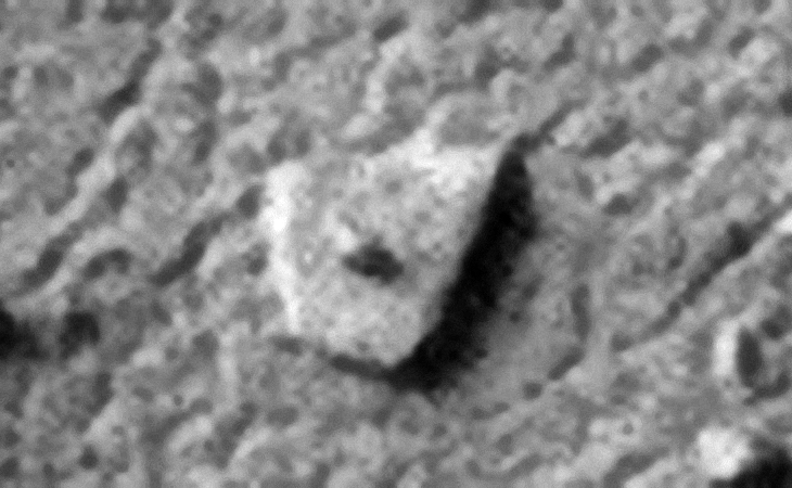 Click for larger image at 1:1 scale