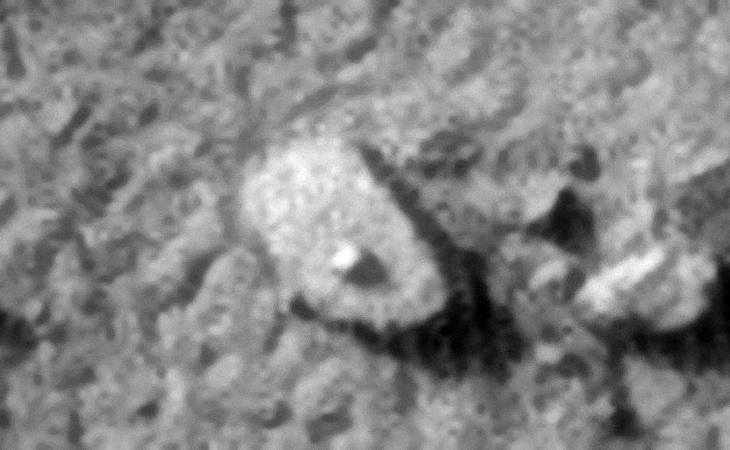 Click for larger image at 1:1 scale