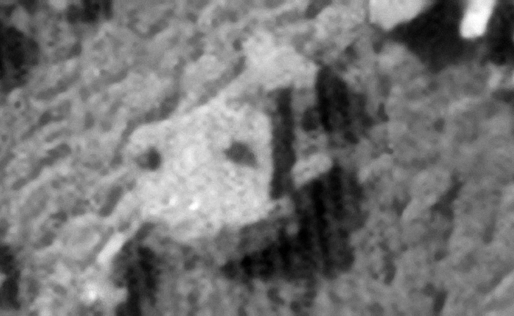 Click for larger image at 1:1 scale