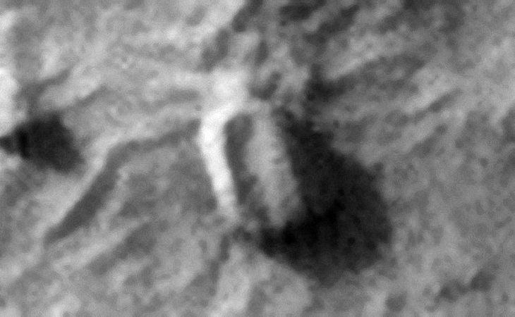 Click for larger image at 1:1 scale