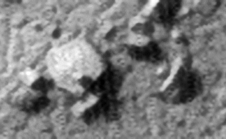 Click for larger image at 1:1 scale