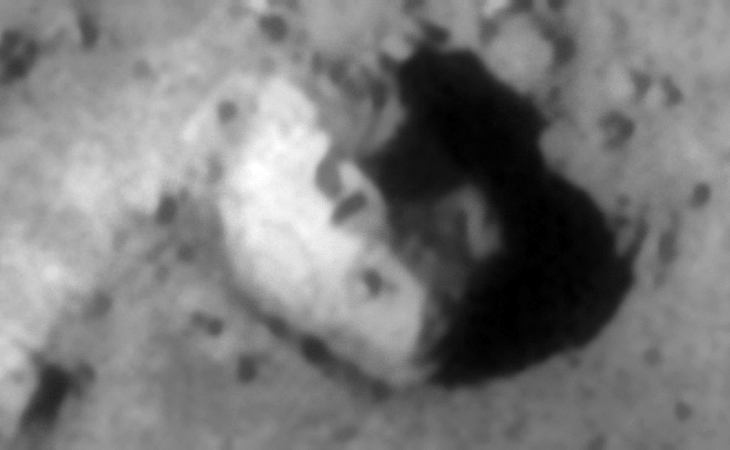 Click for larger image at 1:1 scale