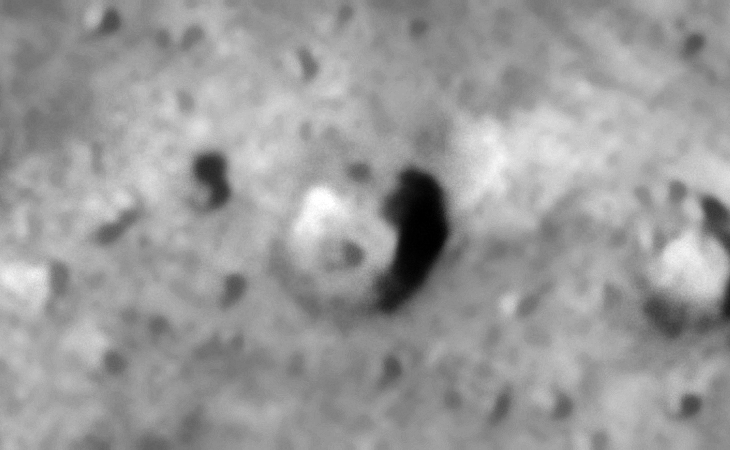 Click for larger image at 1:1 scale