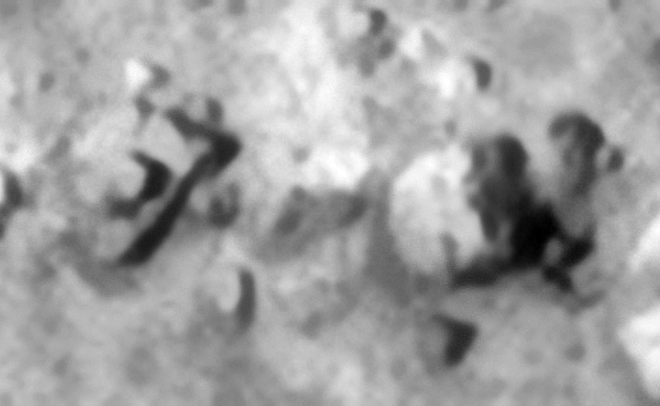 Click for larger image at 1:1 scale