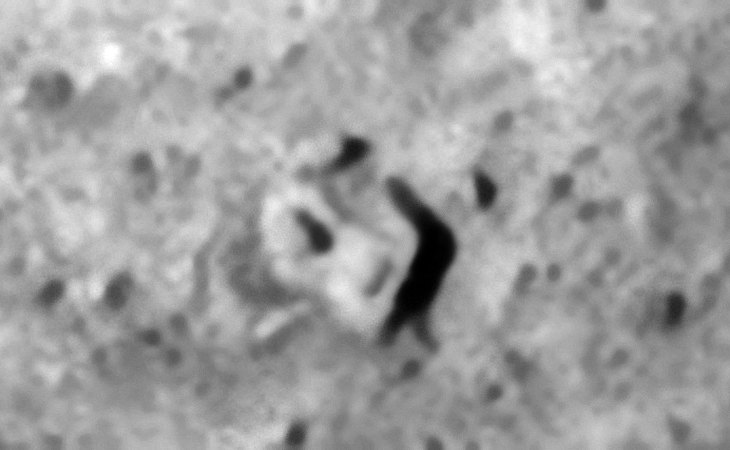 Click for larger image at 1:1 scale