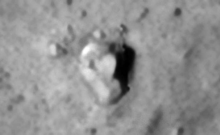 Click for larger image at 1:1 scale