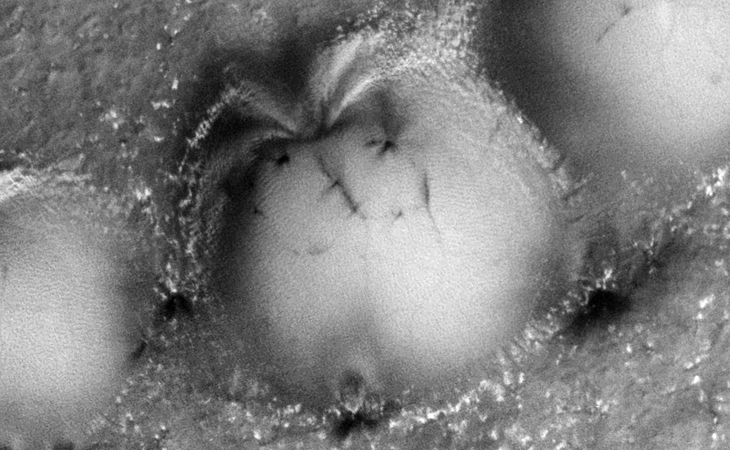 Click for larger image at 1:1 scale