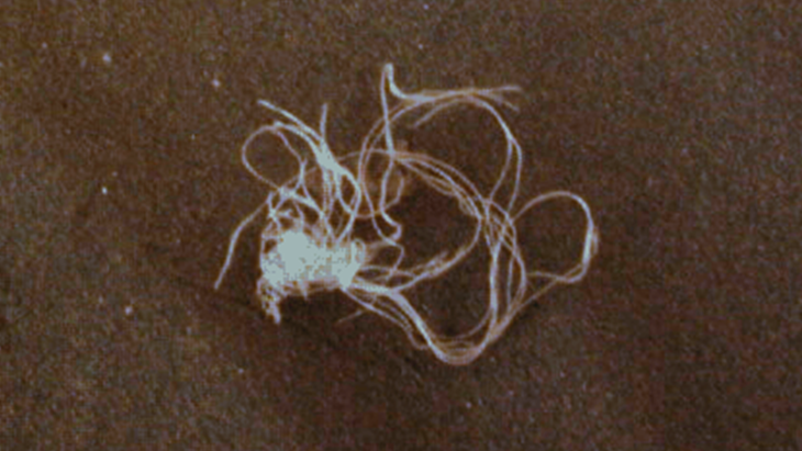 Click for larger image