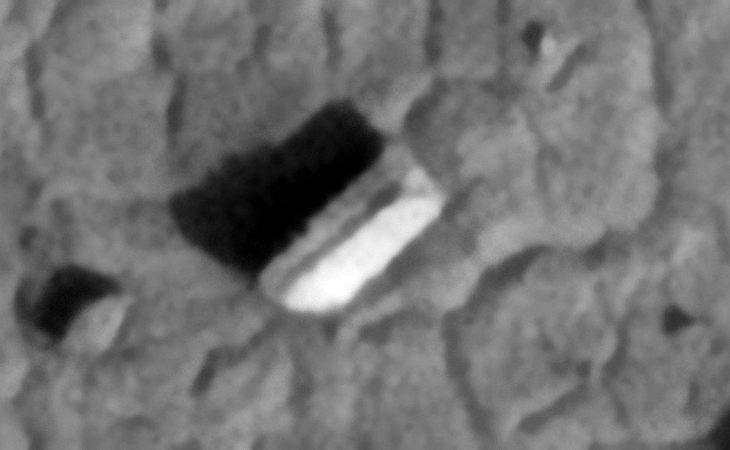 Click for larger image at actual size 1:1 scale