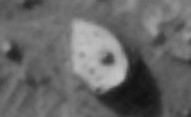 Click for larger image at actual size 1:1 scale