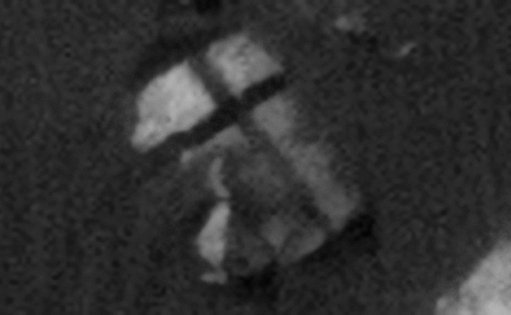 Click for larger image at actual size 1:1 scale