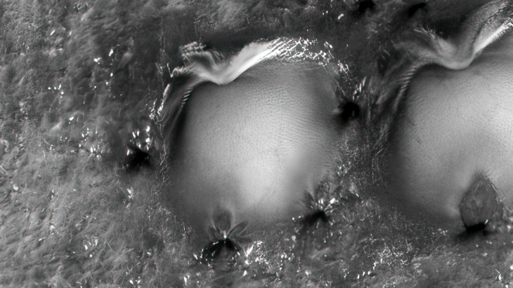 Click for larger image