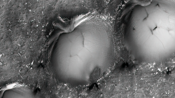 Click for larger image