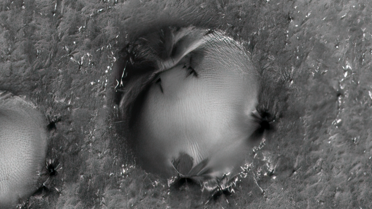 Click for larger image